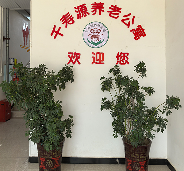 环境设施